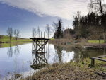 Barchetsee Niederneunforn TG