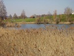 Foto Bettenauer Weiher