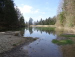 Foto Luppmenweiher