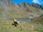 Plattenseeli im Calfeisental