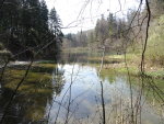 Tobelweiher