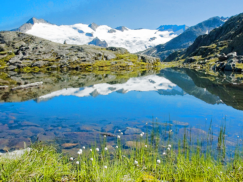 Foto Träjensee