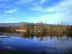 Foto Wettinger Stausee