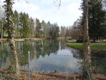 Wetzikonerweiher