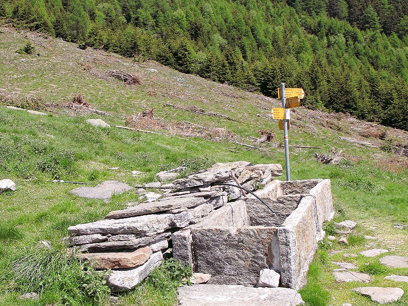 Foto Rifugio Alpe Domas