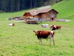 Foto Chalet des Invuettes