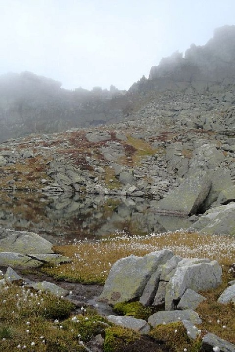Foto Bocchetta di Fornasel