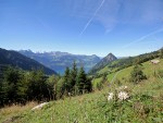 Foto G�tterlipass