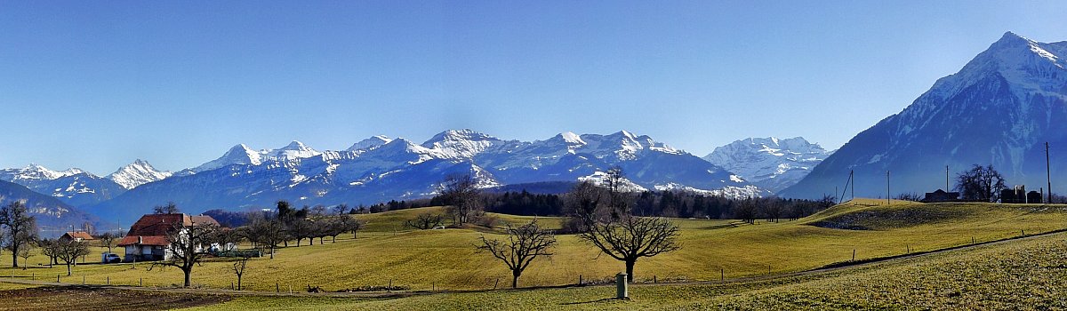 Panoramafoto