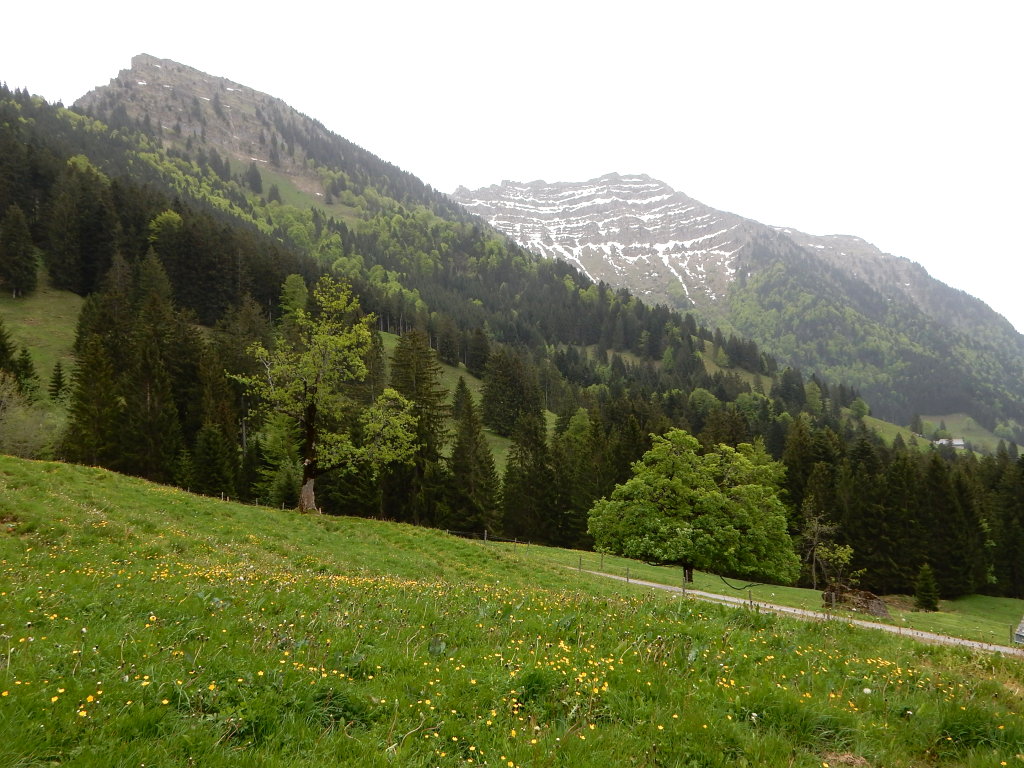 Federispitz (Hintergrund), Chüemettler (Vordergrund) von Oberbogmen