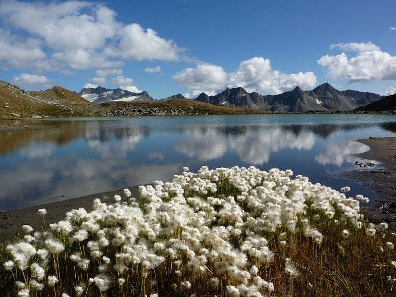 Foto Gafallensee